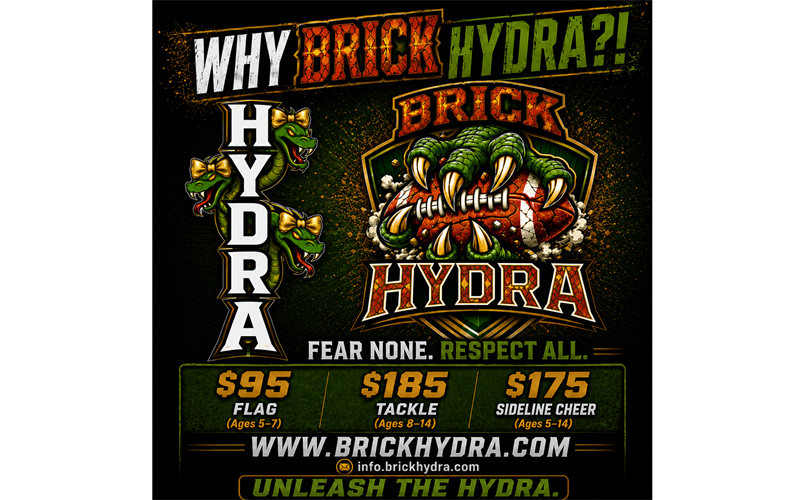 WHY BRICK HYDRA